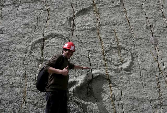 Descubren en Bolivia la huella de un gran dinosaurio carnívoro de 80 millones de años